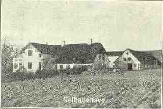 Gjelballehave